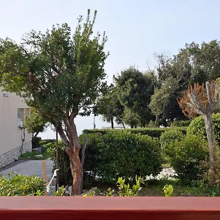 Marina Apartmán Petrcane