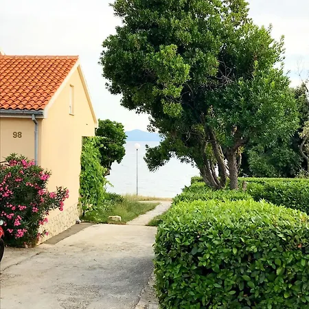 Marina * Petrcane